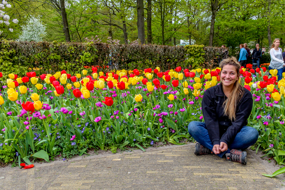 Keunkenhof tulip gardens