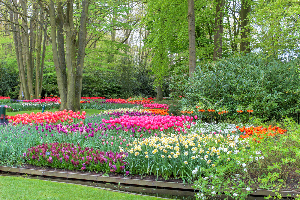 Keunkenhof tulip gardens