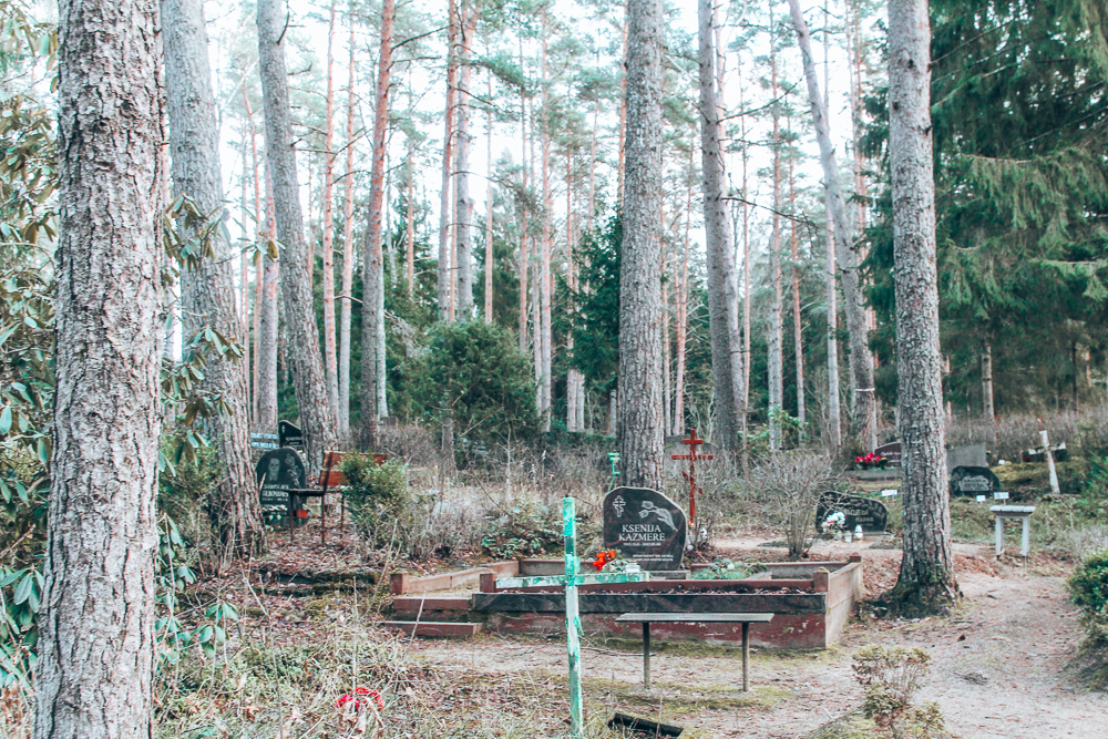 Graveyard in Estonian forest