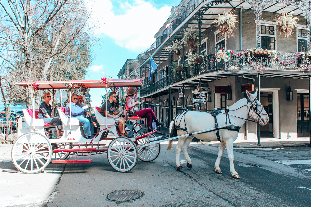 Horse and carriage in New Orleans