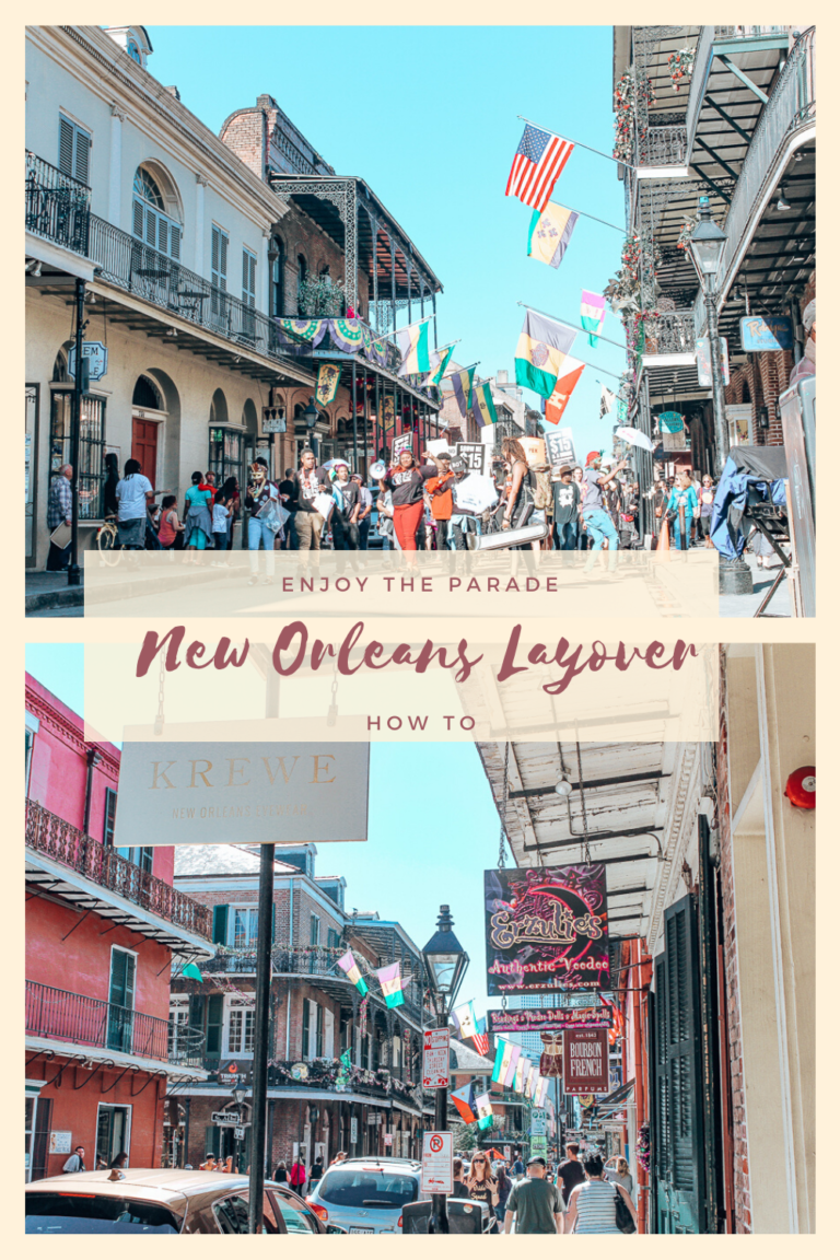 the layover new orleans torrent