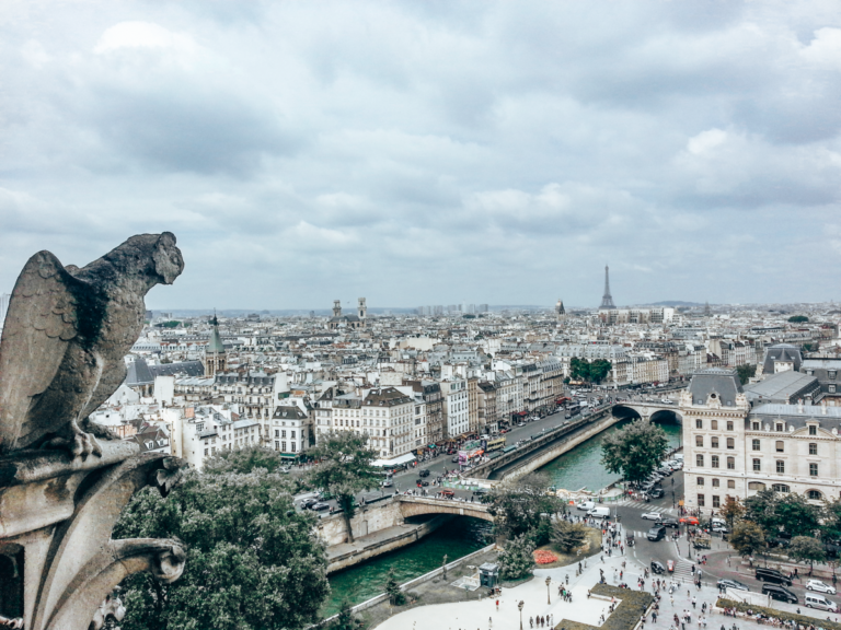 VIEW FROM NOTRE DAME