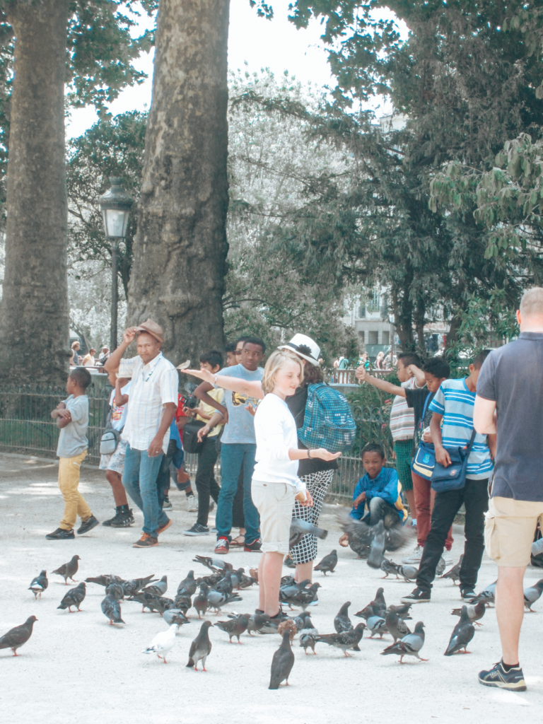 Feeding birds in Paris